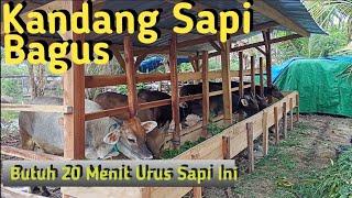 KANDANG SAPI MINIMALIS