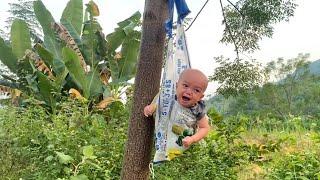 Single mother picked oranges to sell, the child's father came to pick him up.#singlemother