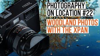 Woodland photos with the Hasselblad XPan