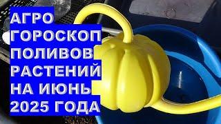 Секретные даты для идеального полива в июне 2025!