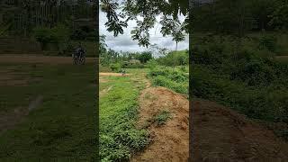 #nature