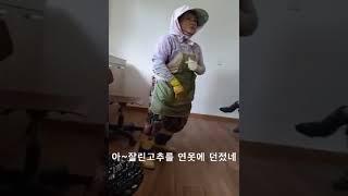 할머니 고추송 (가사첨부) 대박! ㅎㅎ ㅋㅋ