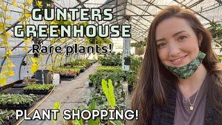 Go PLANT SHOPPING with me! | RARE plants! | Gunters Greenhouse