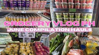 25 MIN RELAXING ASMR Grocery Vlog | Shopping Haul Ph + Prices | June Compilation | Everyday with Ana