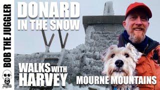 Walks with Harvey - Mourne Mountains,  Donard in the snow.