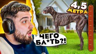 HARD PLAY ZOMBIE REACTION CHEZ 10 ABNORMALLY LARGE DOGS IN THE WORLD