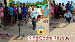   King cobra किंग कोब्रा सर्प समाउँदा भयो ठूलो घटना king cobra snake rescue in Nepal