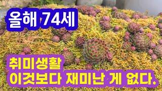 이것보다 재미난 게 없다. 74세 박갑헌 선생님 의 남다른 취미생활을 소개합니다.