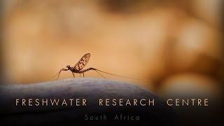 Freshwater Research Centre, South Africa