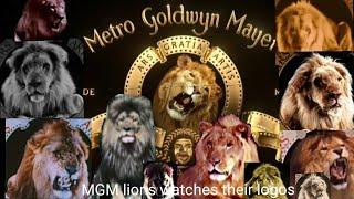 mgm lions watches their logos