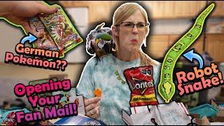 Weird Mexican Doritos in our Mail?! (Fan Mail #28)