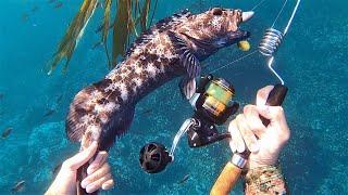 INCREDIBLE Underwater Fishing in CRYSTAL CLEAR WATER!