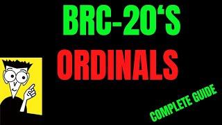 100x Opportunity on Bitcoin (Beginners guide to ordinals)