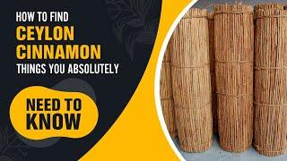 Things To Know Before You Buy Ceylon Cinnamon + Secret to Making Ceylon Cinnamon Taste Even Better