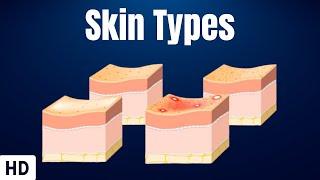 Skin Types: Everything You Need To Know