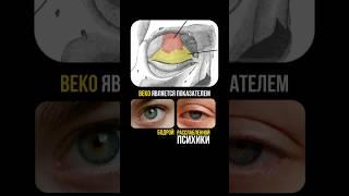 Гашеное веко #нейротипология #характерполицу