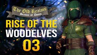 THE DEADLY DEFENDERS! The Old Realms Warhammer Mod - Mount & Blade II: Bannerlord - Wood Elf #3