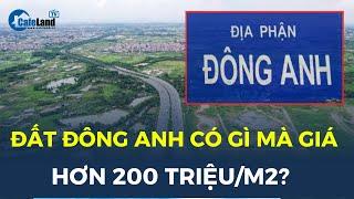 Đất Đông Anh có gì mà giá hơn 200 TRIỆU ĐỒNG/m2 | CafeLand