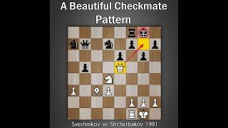 A Beautiful Checkmate Pattern | Sveshnikov vs Shcherbakov 1991