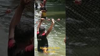 menjaring ikan satu kampung tradisi tahunan daerah tapanuli tengah