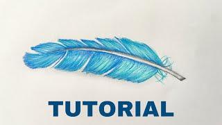 How To Draw A Feather | Color Pencil Tutorial