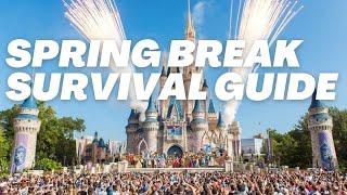 Spring Break at Disney World: How to Survive Disney Crowds