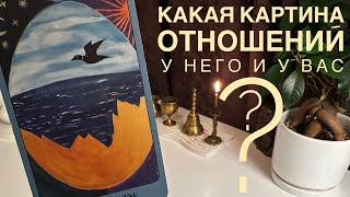 Какая картина отношений у него и у вас?