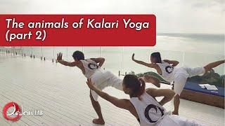 Posture Clinic: The animals of Kalari Yoga (part 2) - KalariLab