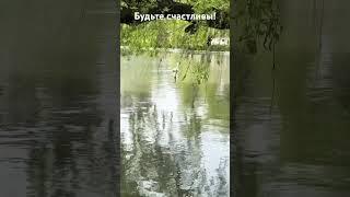 Цитаты Стэтхэма #цитаты #юмор #путешествия #цитатыосмысле #владикавказ #паркотельвладикавказ