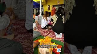 Nz ep.7 NY at Watyarnprateep Buddhist Temple, Auckland | TeddyBim