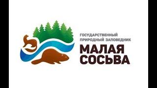 Зима, @заповедник "Малая Сосьва", Вахитов Л. А.,2023