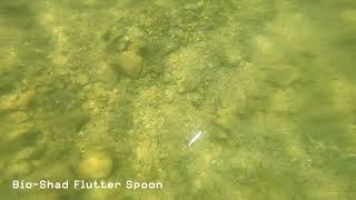 FishLab Bio-Shad Flutter Spoon - Swim Action