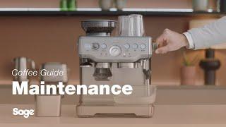 The Barista Express™ | Our tutorial on how to descale your espresso machine | Sage Appliances UK