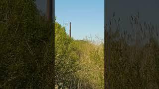 Река Неман в городе Неман