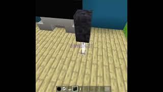 Minecraft TikTok Build Hacks #shorts