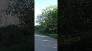 15 км с утра на велике. Третья тренировка. Лучший круг (км) - 2:36 мин.