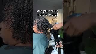 Do this is your hair is dry #curlyhair #naturalhair #shorts