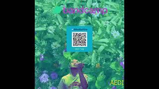 AEDI * (DIGITAL ALBUM) @BandcampOddities