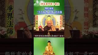 佛陀德号“天人师 佛 世尊”的殊胜含义/  净界法师《法华经讲记》采撷 #学佛