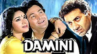 Damini || Sunny Deol And Meenakshi Seshadri || Full Movie Facts And Story