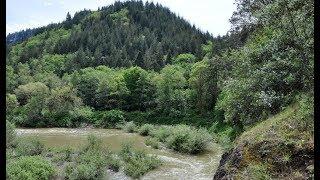 Bigfoot Raids Farm Near Coquille, Oregon