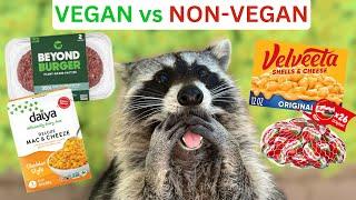 Do Raccoons Want To Be Vegan? (Taste Testing Beyond Burger, Babybel, & Velveeta!)