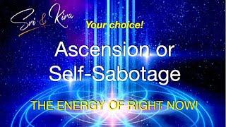 Ascension or Self-Sabotage? The choice before humanity!