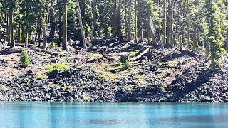 Bear spotted swimming in Oregon's Crater Lake for first time in decades