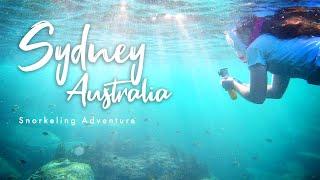 Snorkeling Sydney Australia