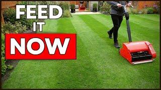 When to MOW and FEED a new lawn?