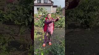 С обрезкой ежевики всё достаточно просто