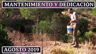 CAZA MAYOR | MANTENIMIENTO Y DEDICACIÓN EN UNA FINCA 2019