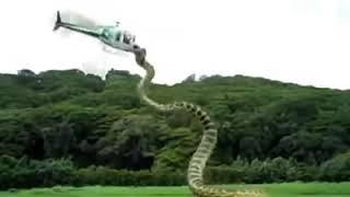 Full Anaconda Movie scenes  Helicopter attack scene