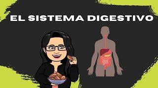 El sistema digestivo